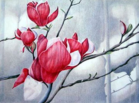 magnolia XXII